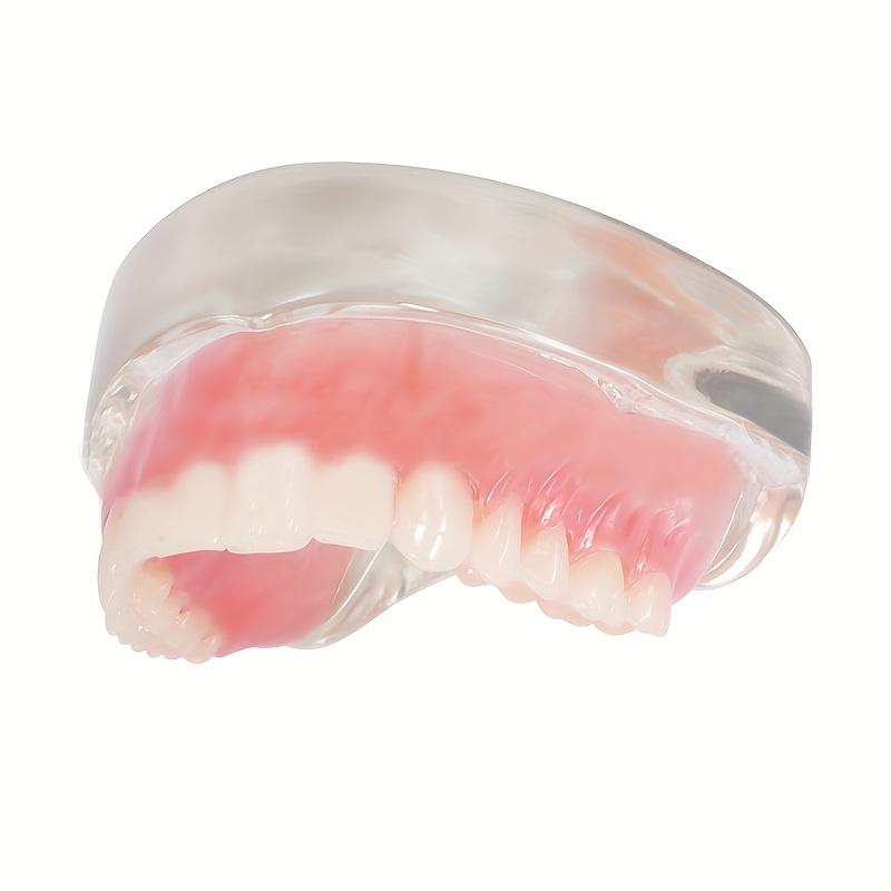 Upper/lower Jaw Dentures 4pcs Screws Implant Teeth Model Detachable Communication Model For Demonstration!!! Model Not For Oral Use!!