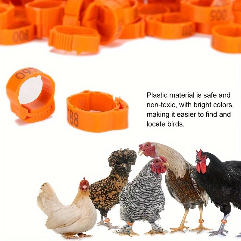 100 pack adjustable reusable colorful chicken leg bands numbered poultry identification tags for chickens ducks geese turkeys details 4
