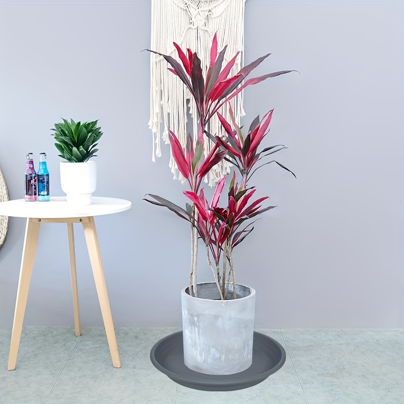 large indoor planter with stand Round Rattan Planter Stand with Handmade White Cotton Rope Macrame for main image 0