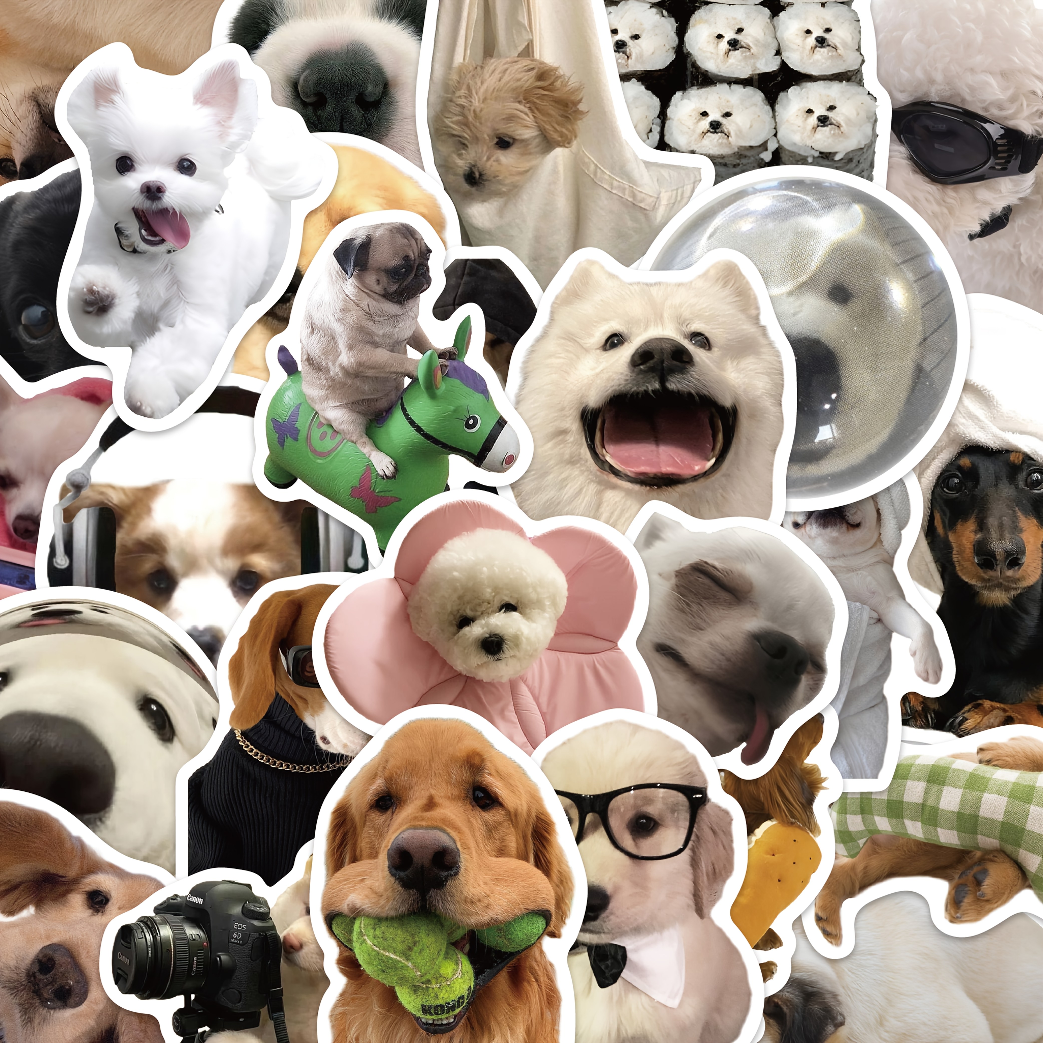Image of 50 Realistic Dog Stickers For Decorating Luggage, Skateboards, Phone Cases, Laptops, And Notebooks.