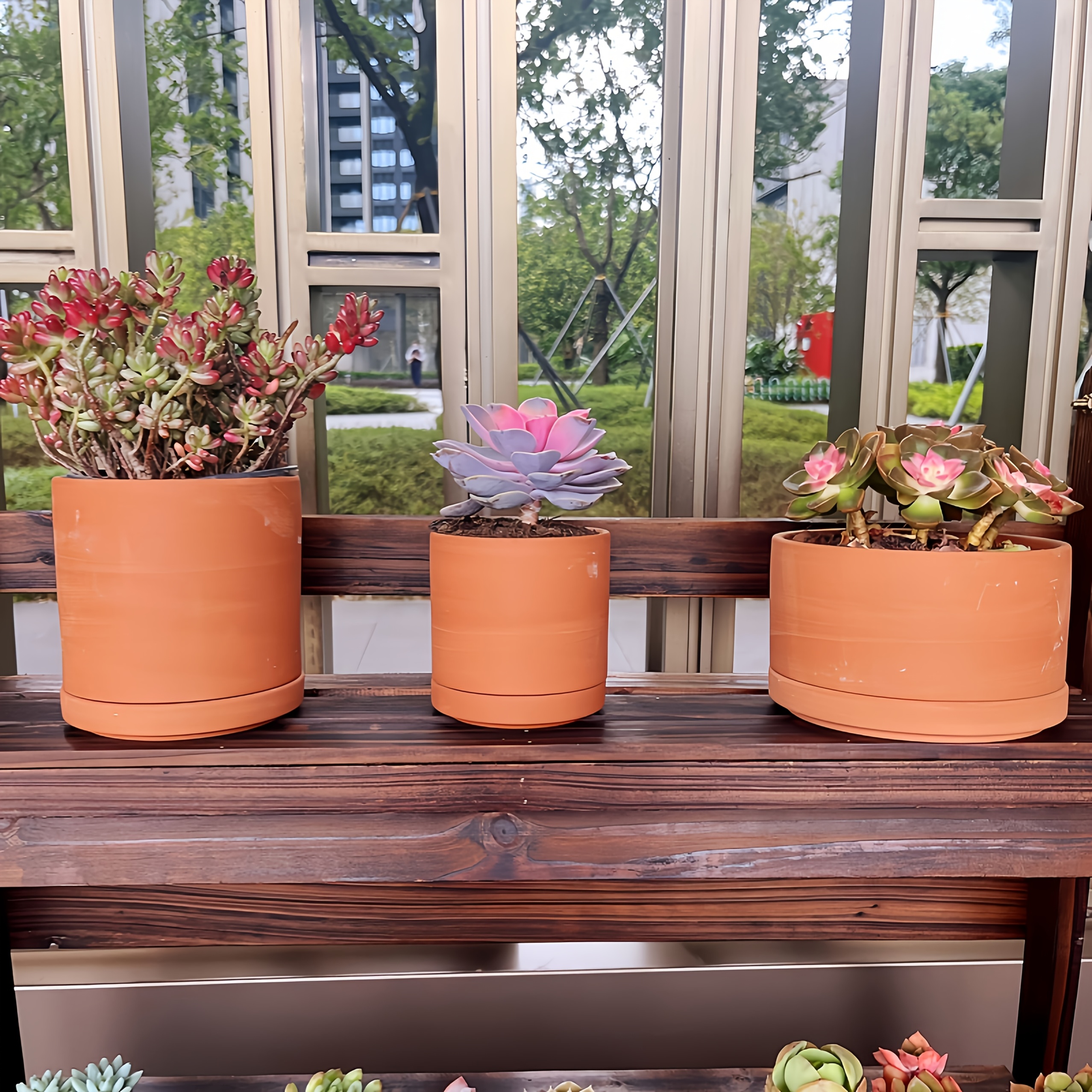 colour plant pots Combination Set of 3 Plastic Multicoloured 22cm Floral Pots with Sauce   Hum Flowerpots