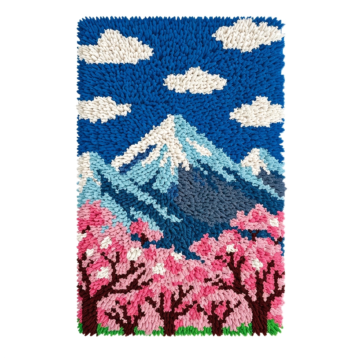 Latch Hook Carpet Kit for Beginners, Color Printed Canvas Set