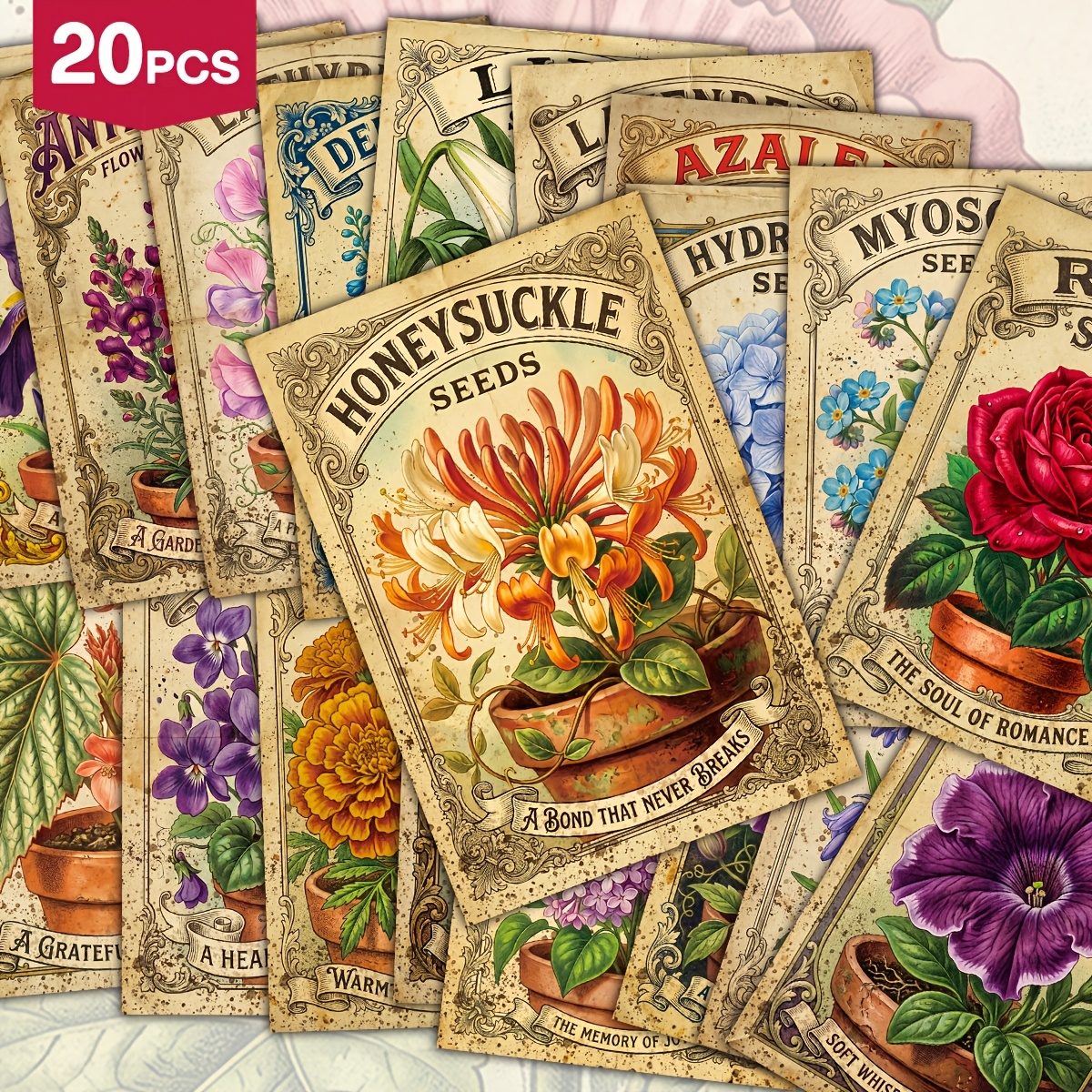 TEMU Lot de 20 cartes postales vintage de graines de fleurs, 4*6 pouces, cartes florales rétro avec lys, souci, iris, lavande, pour décoration murale