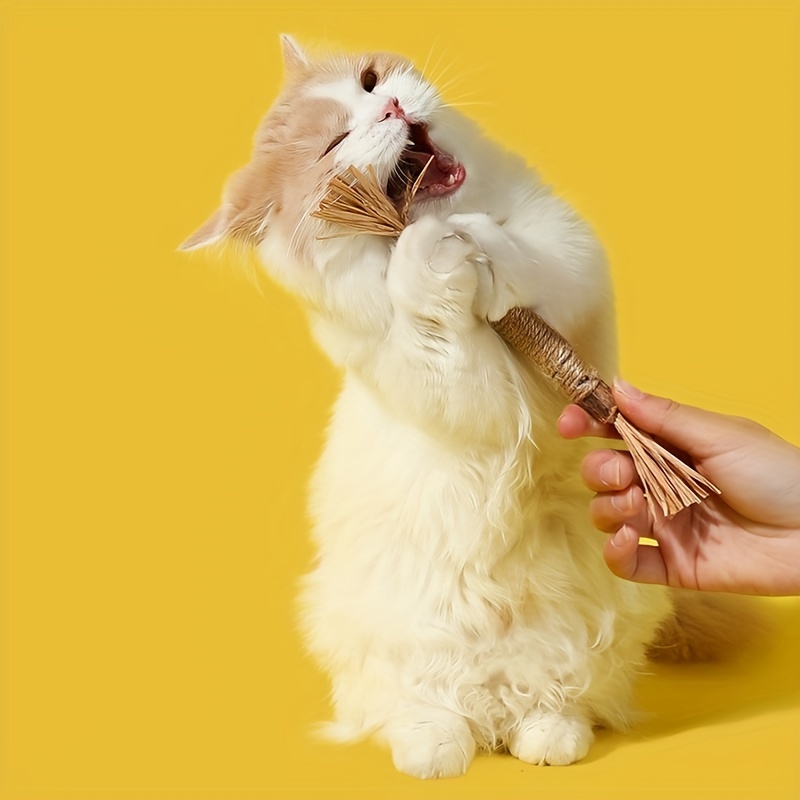 Natural Silvery Vine Cat Toy Stick, Durable Chew Toy for Kittens and Cats  Teeth Cleaning Toy