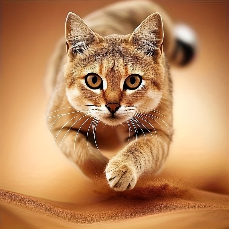 

1pc Cat 5d Diamond Art Painting Round Diamond Handmade Craft Art Kits Home Wall Decor Gift