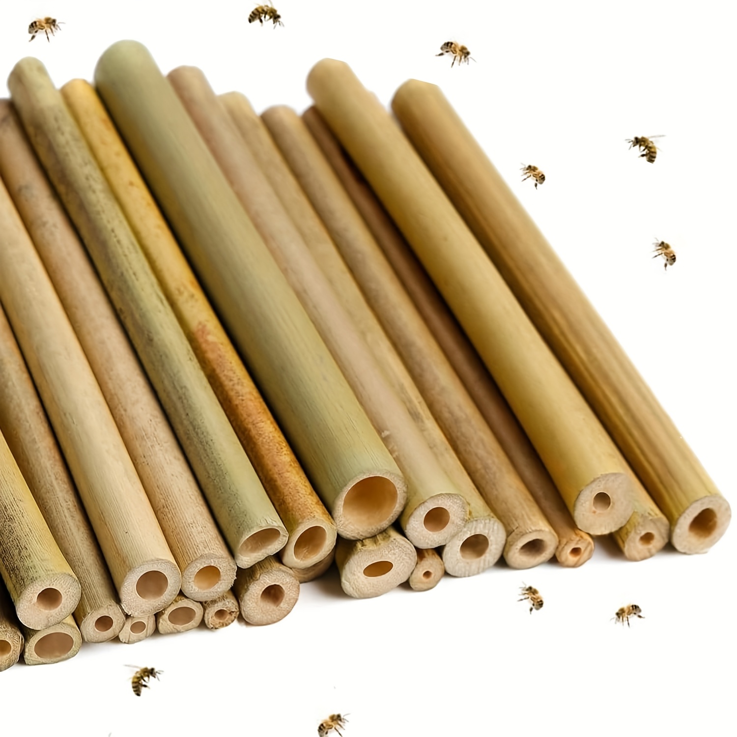 100 stck bambus bienenrhren hochwertig garten - Temu Switzerland