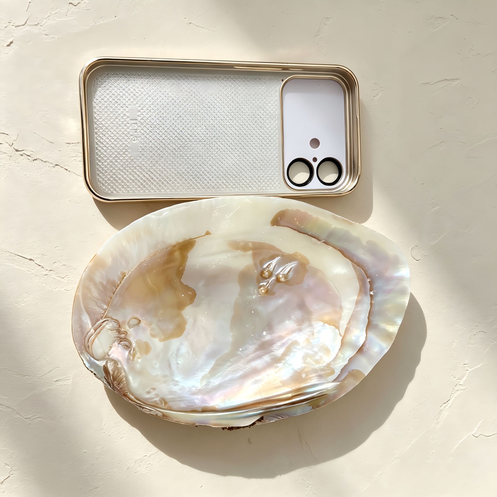 TEMU y bandeja decorativa extragrande de concha natural estilo francés - Concha de perla autónoma adecuada para servir caviar, exhibición de joyas,
