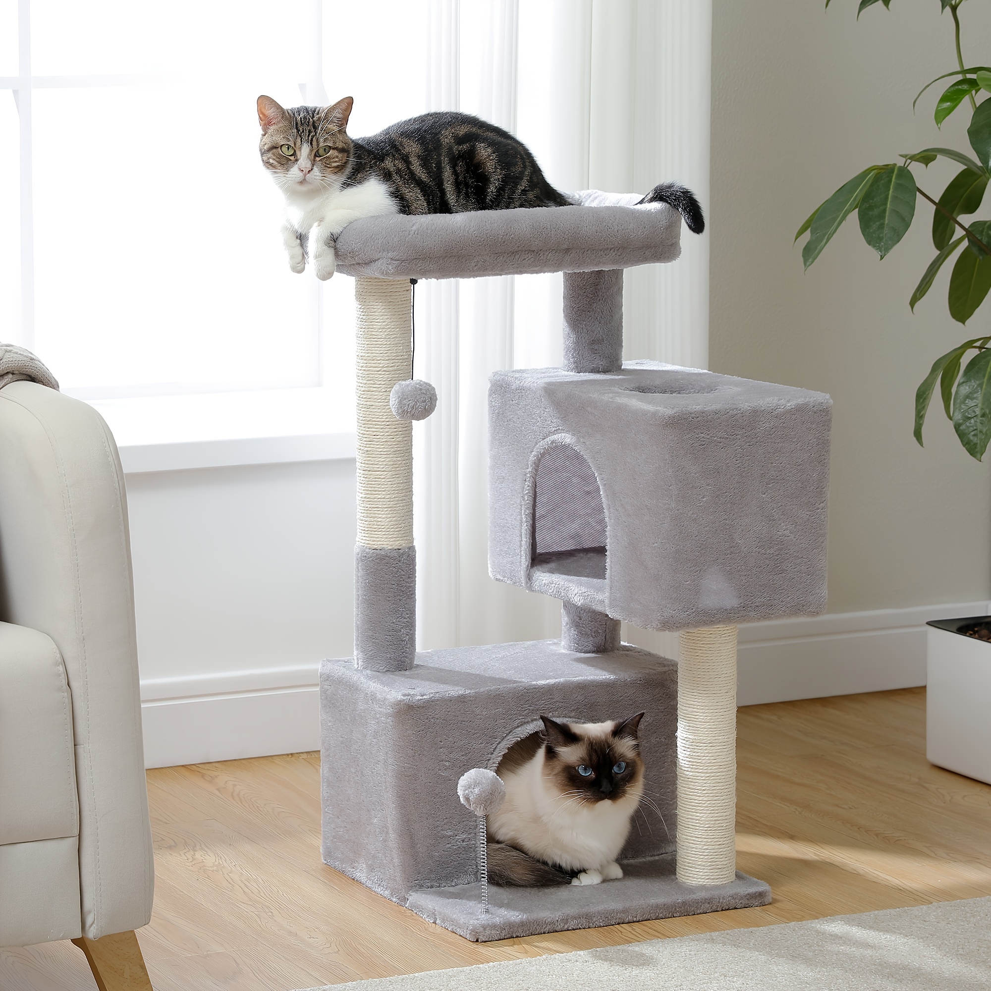 

Suitable For , Cat , Suitable For , 2 Apartments, Cat Scratching And Cat