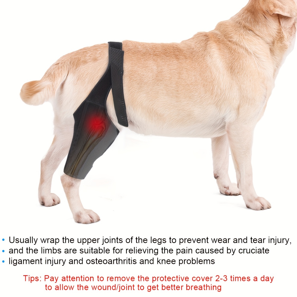 Breathable Dog Knee Brace for Post-Surgery Recovery Comfortable,  Anti-Lick Wound Protection Belt for Canine Joint Support
