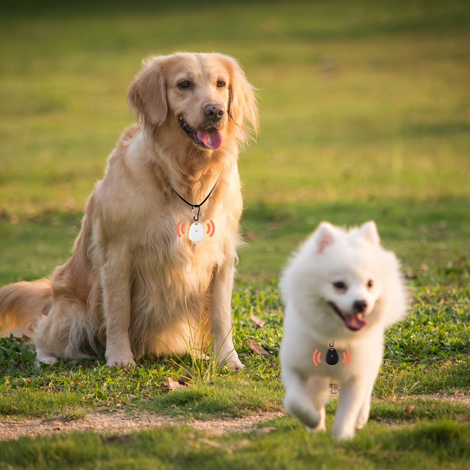 Localisateur D'objets, 50M Key Finder Localisateur Chat /Chien avec Étui  Protecteur Localisateur Contrôle des App