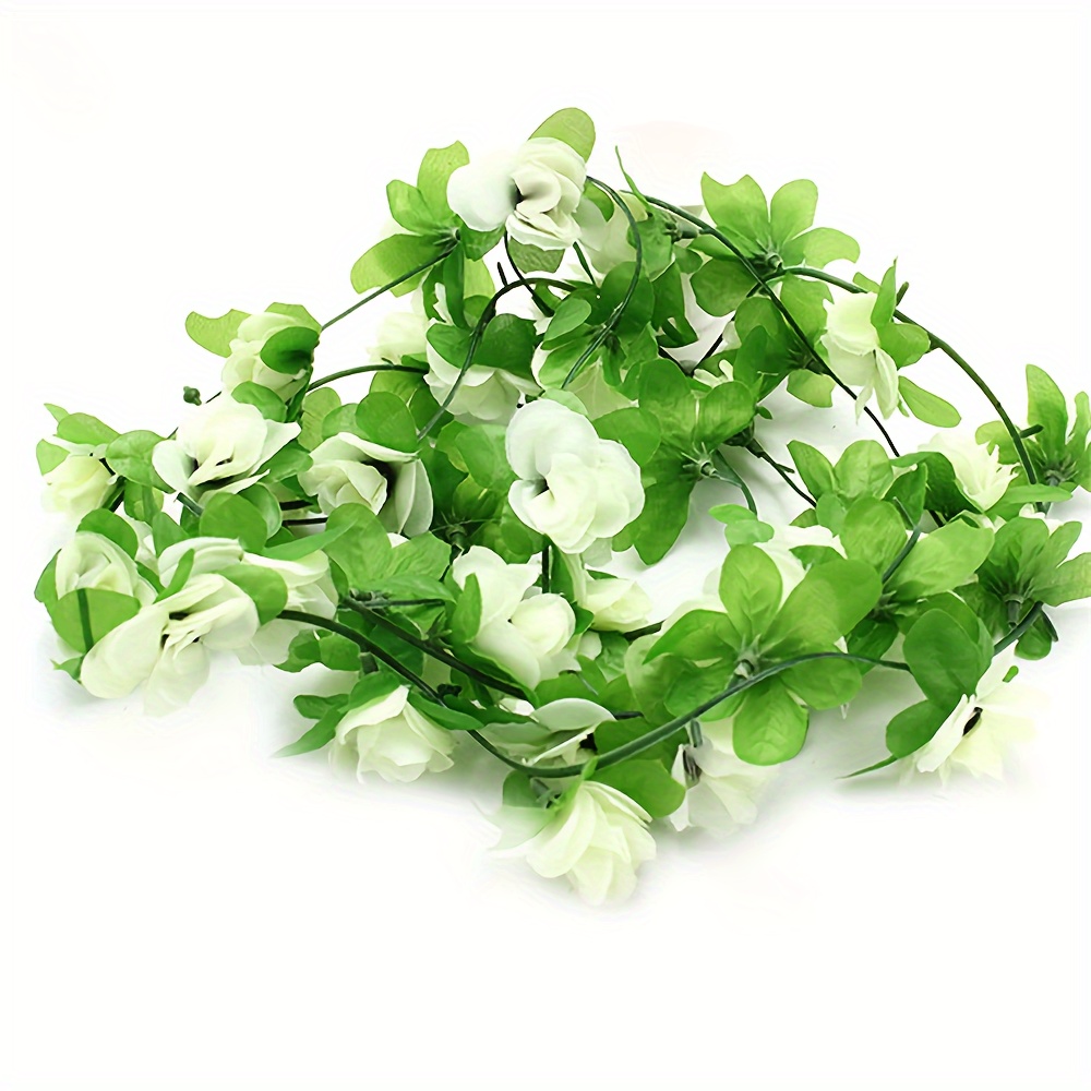 nest farn Bird Nest Fern – Fragrance Plants and Flowers