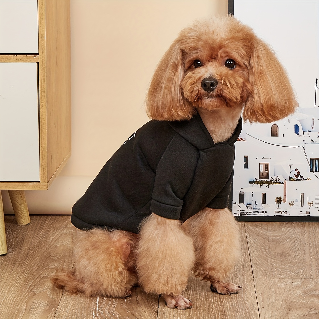 security print hooded pet sweatshirt for small dogs warm winter