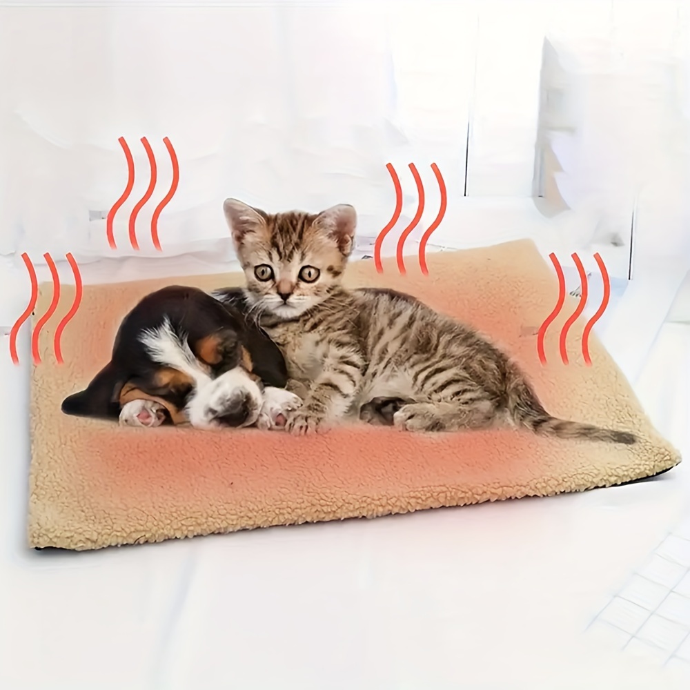Dog and cat resting on a soft khaki pet mat