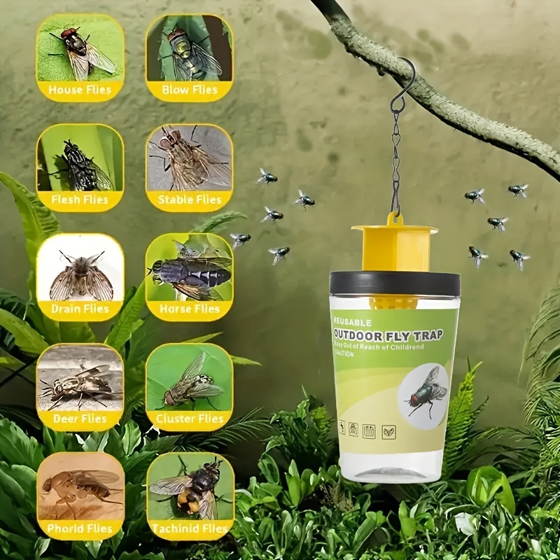 horse fly catcher