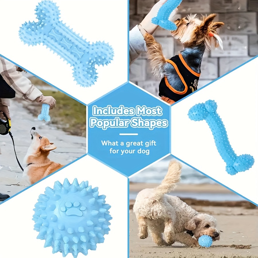 Small dog toys hotsell