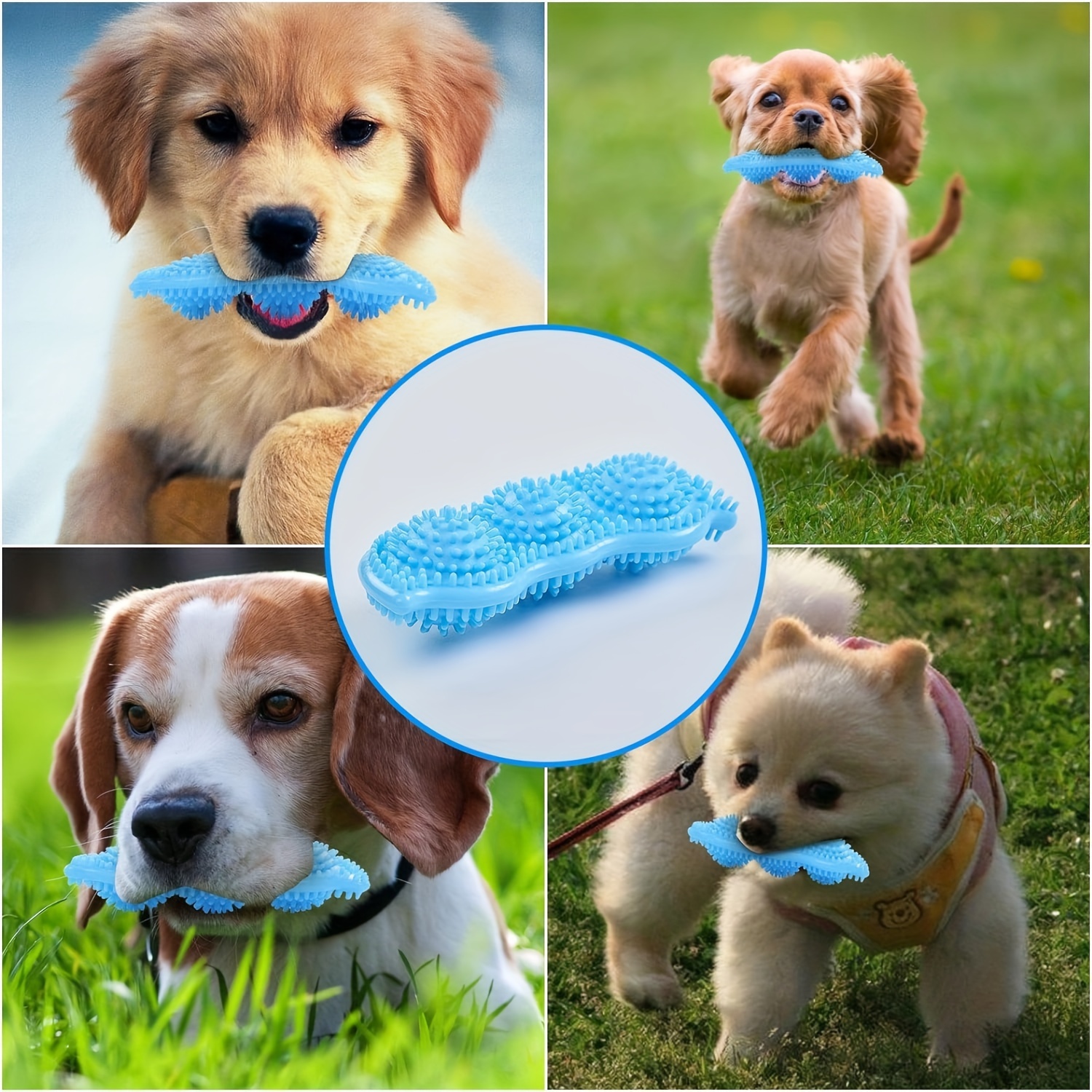 pet pea grinding toy pet pea grinding toy Product details 7