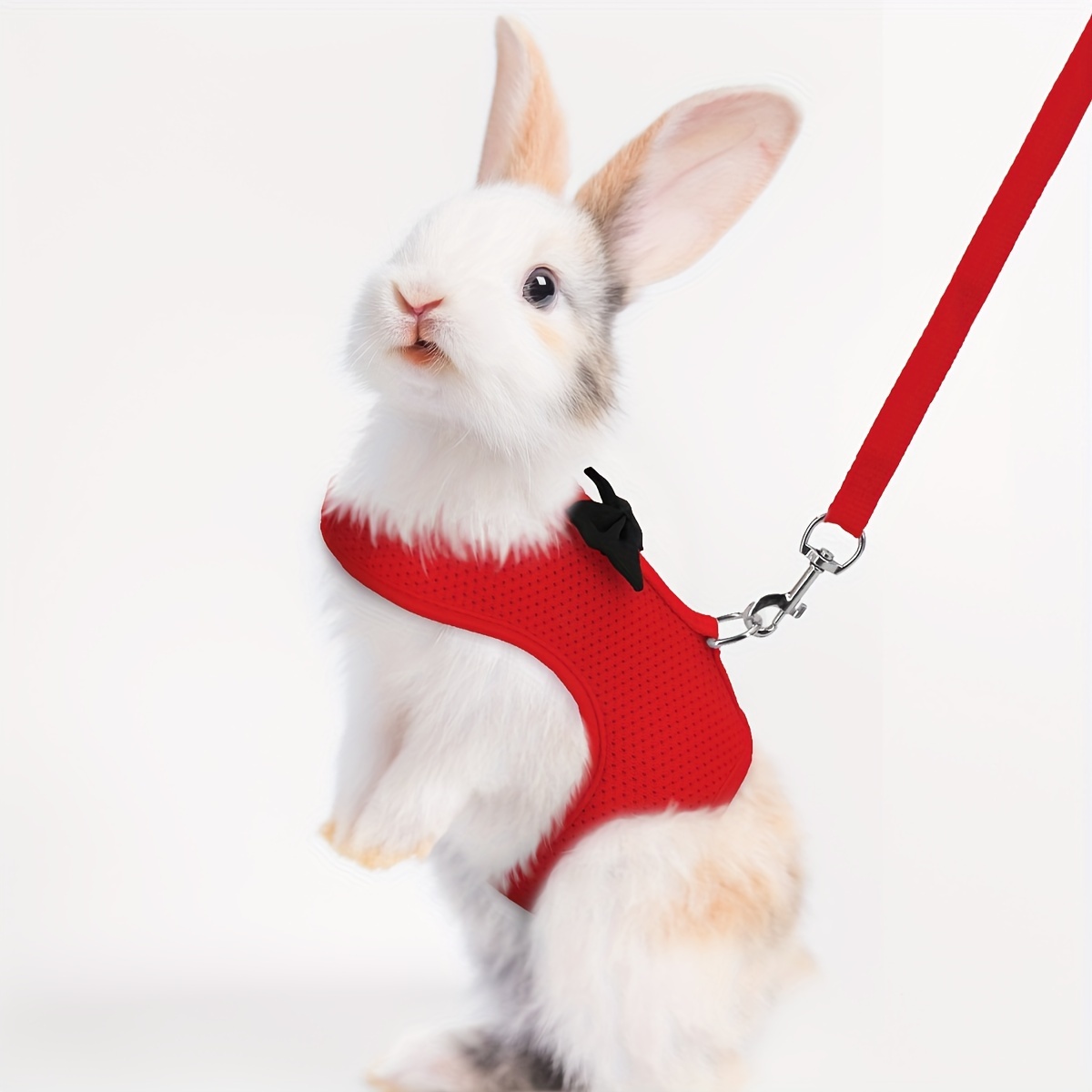 One Set of Solid Color Fashion Rabbit Harness for Outing and Rabbit Leash to Prevent Loss