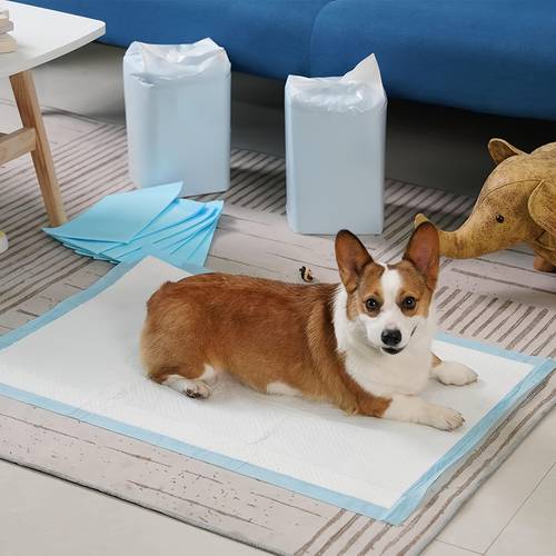 400 300 200 125 100 50pcs 23 6 inch 6 inch super absorbent dog urine pad puppy training puppy urine pad and pet toilet use christmas gift