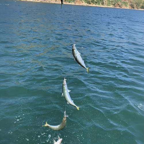5 packs of mackerel feather fishing tackle with 30 hooks pre tied sea fishing tackle with luminous beads and bionic flying insect bait fishing tackle