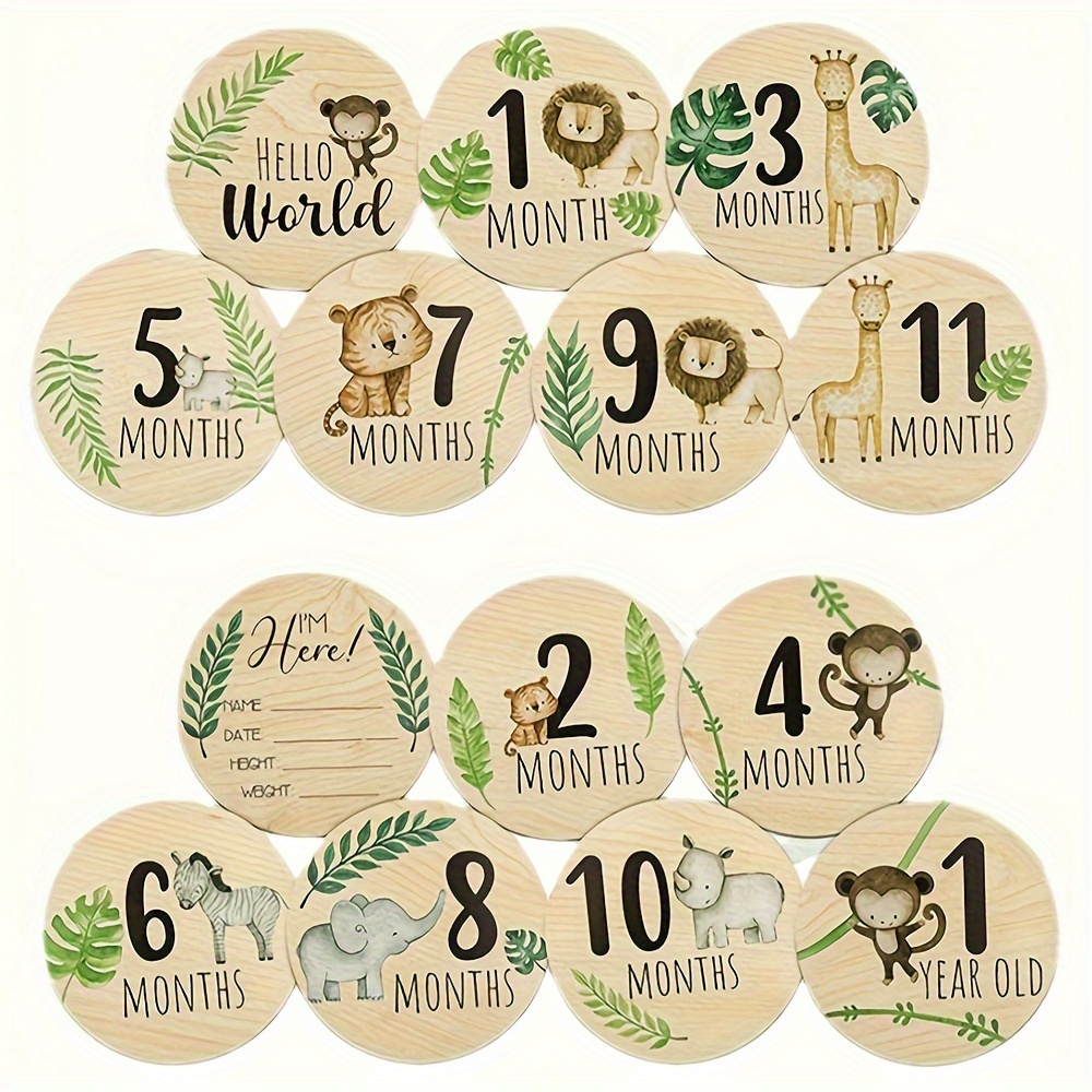 Tarjetas de hitos mensuales de madera para bebé, anuncio de bebé y  embarazo, 13 círculos hechos a mano de doble cara con un disco  personalizable más