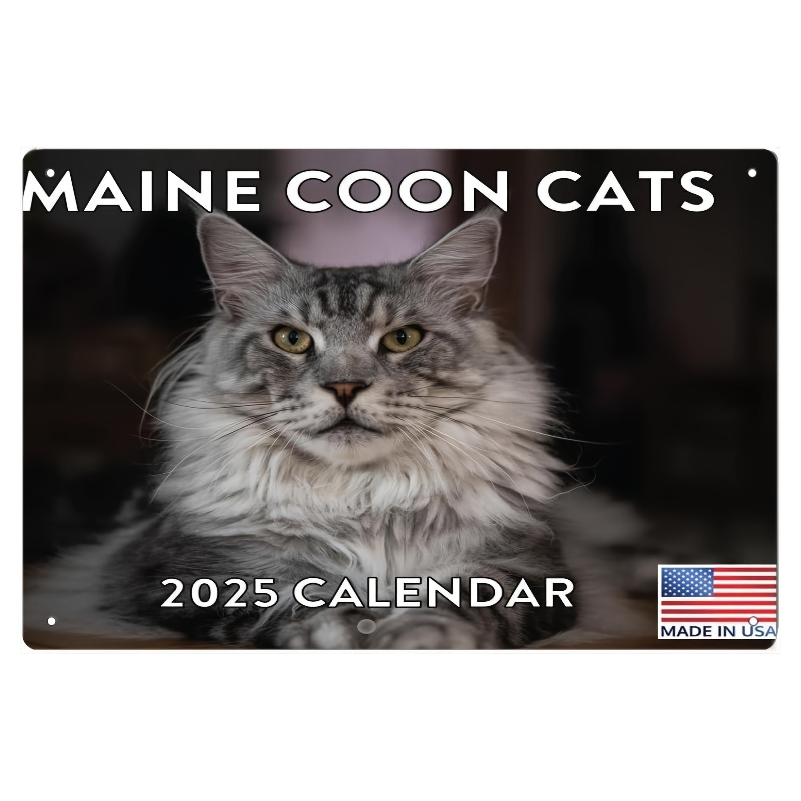 

1pc Maine Coon Cats 2025 Metal Wall Calendar, 8x12 Inch Iron Painting Monthly Calendar, Universal Holiday Decor, No Electricity Needed, Decoration