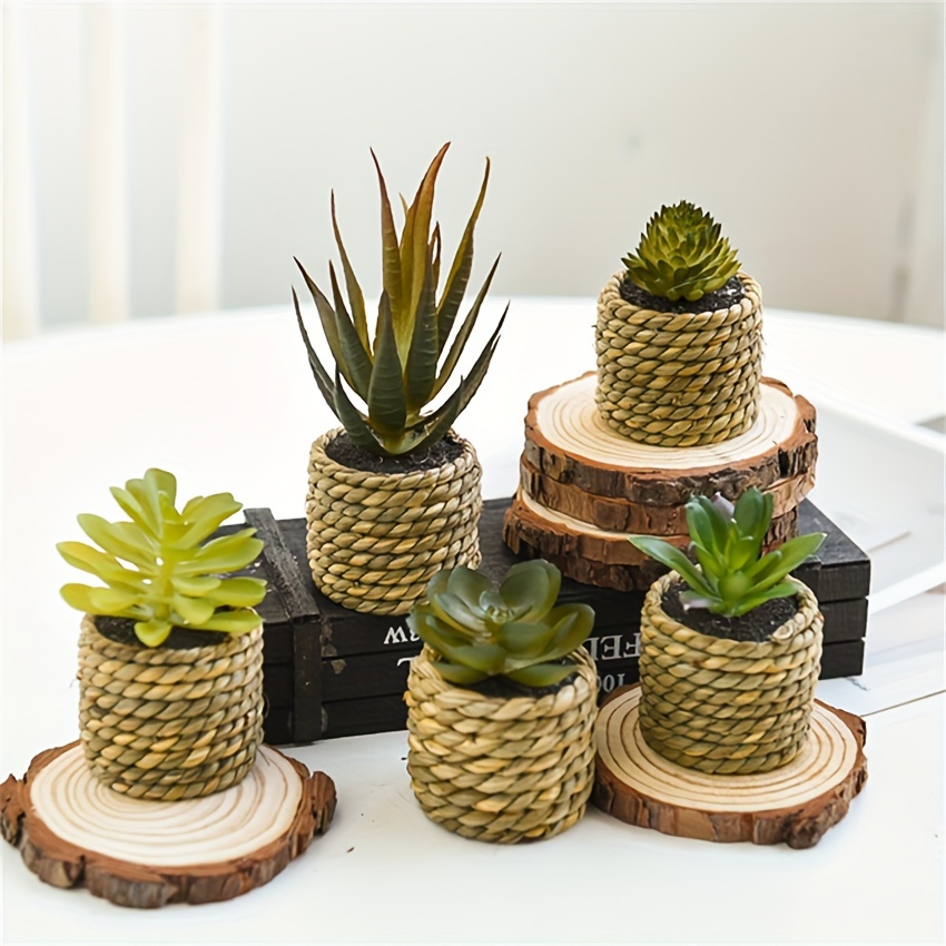 

5pcs Set Of Succulents & - Potted Plants For / Decor, For , , Desk, And , For