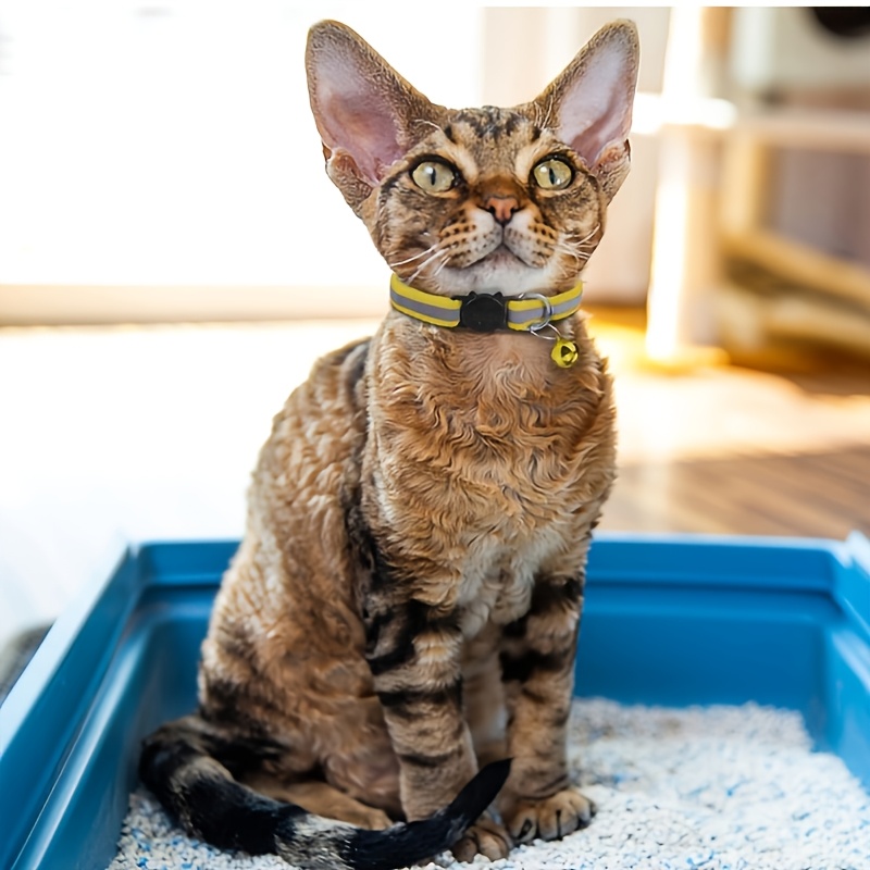 Custom Personalized Reflective Safety Cat Collar with Bell - Adjustable Kitten Buckle Collar, Custom Pet Name and Phone Number, Detachable Safety Buckle Cat Bell Collar