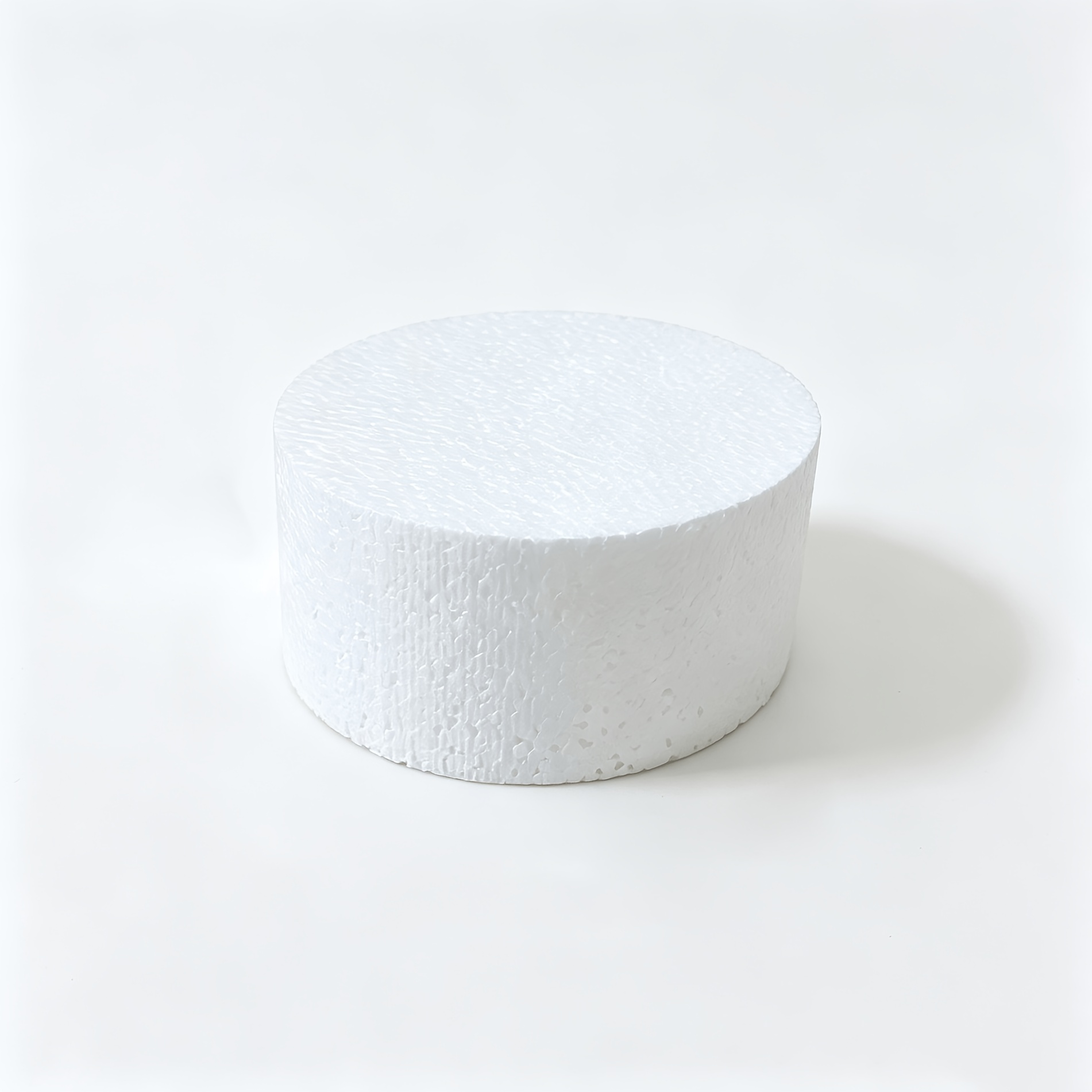 TEMU Lot de 12 disques en mousse de polystyrène pour loisirs créatifs, 10 x 5 cm (3,9 x 1,9 pouces), parfaits pour les projets artistiques, la