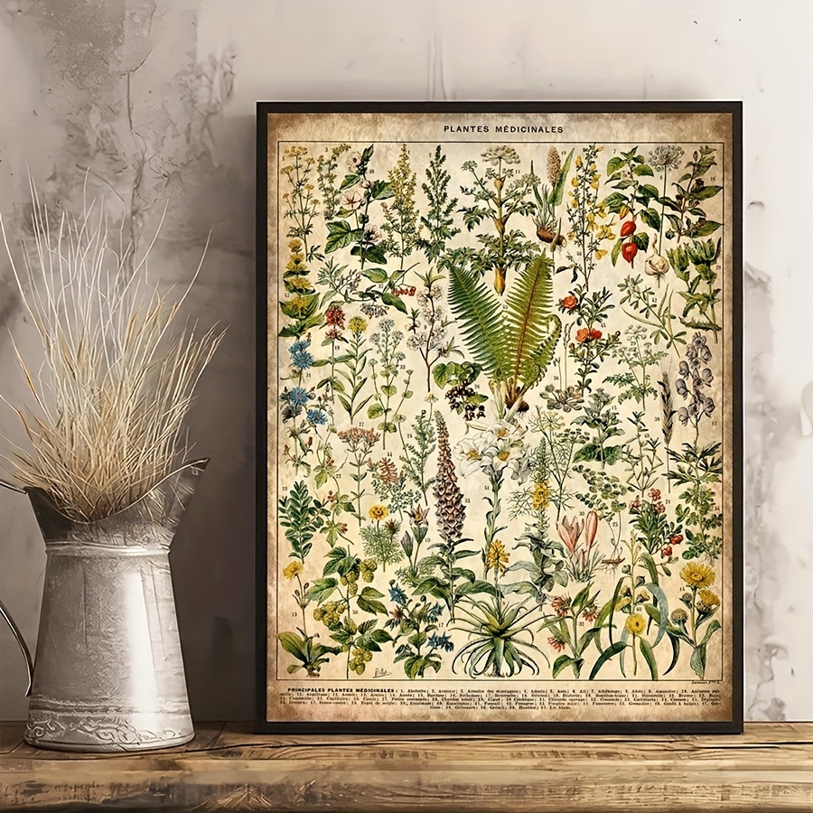 

1pc Frameless Vintage Art Canvas Poster, Medicinal Herbs And Plants Species Painting On Canvas, Wall Art Poster, Retro Artwork Wall Painting For Bathroom Bedroom Office Living Room Home Wall Decor