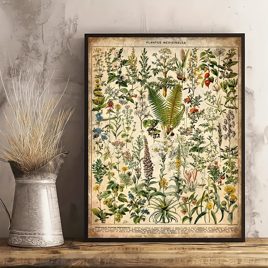 

1pc Vintage Art Canvas Poster, Medicinal And Plants Painting On Canvas, Wall Art Poster, Retro Artwork Wall Painting For Bathroom Bedroom Office Living Room Home Wall Decor