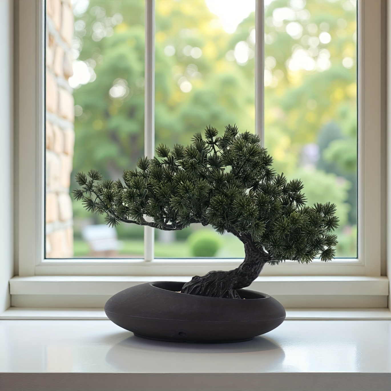bonsai banana tree Maple bonsai – The Artment main image 0
