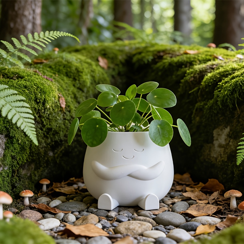 TEMU macetas funcionales impresas en 3D: de , , , . Perfectas para planta de dinero o suculentas, también ingeniosamente como organizador de