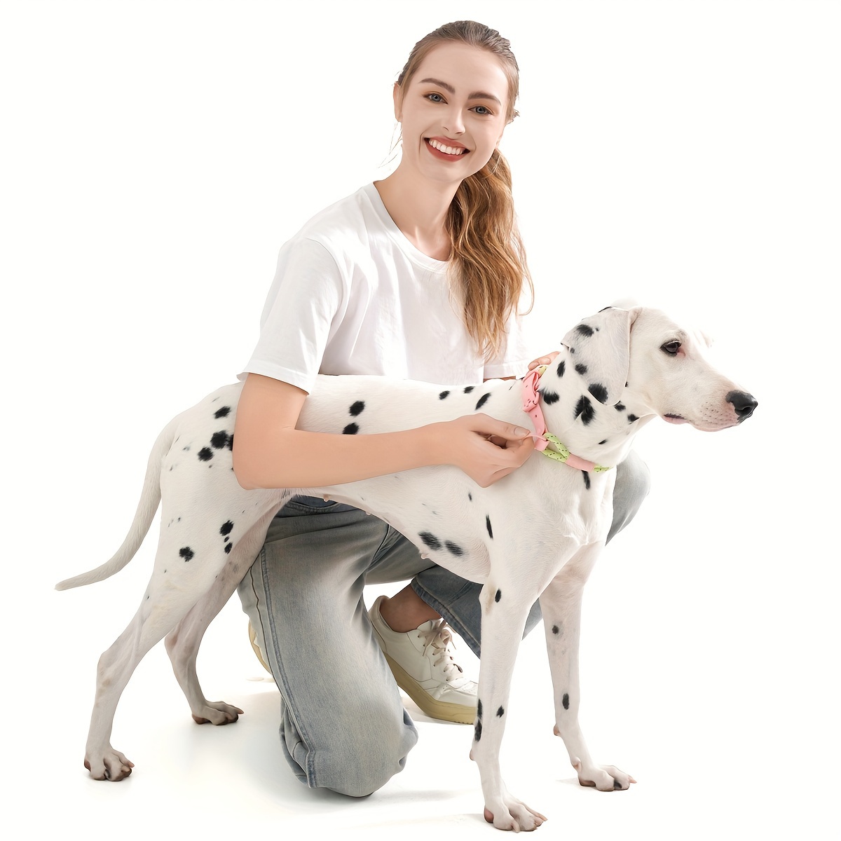 Reflective PVC Round Rope Dog Collar with Traction Hook