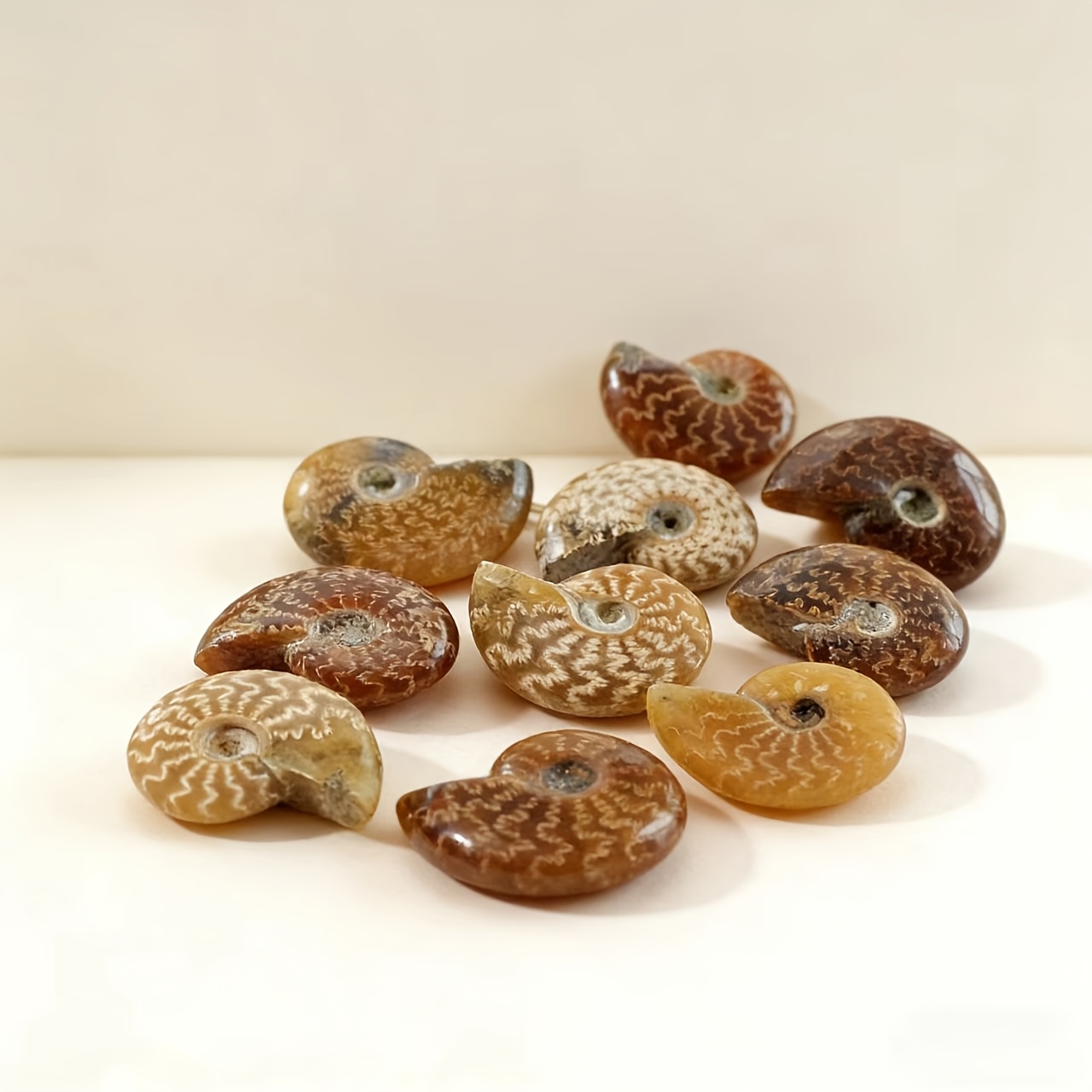 Hand-Carved Natural Chrysanthemum Stone, Seashell-Shaped Decoration