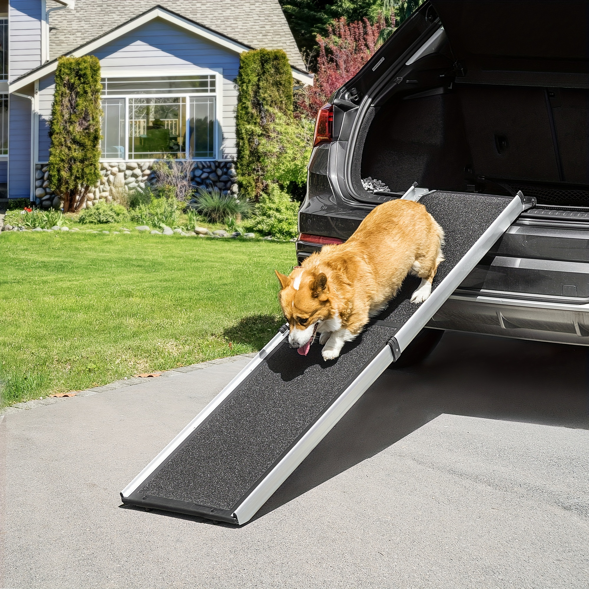 Dog ramps for cars hotsell