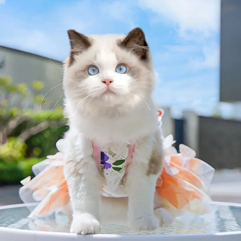 princess dress for cats Blue Hearty Cottagecore Princess Dress Custom Made for Cat Dog Rabbit. Pet Wedding Dress. Bridesmaids Dress. Swarovski