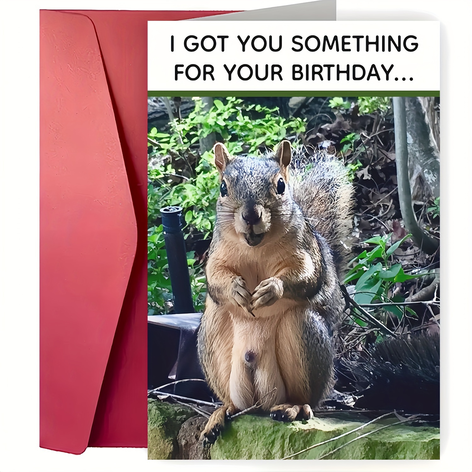 

Humorous Squirrel Birthday Greeting Card With Envelope, Fun Novelty '' Joke Card For Anyone, High-quality Paper, Cheerful Celebration Stationery