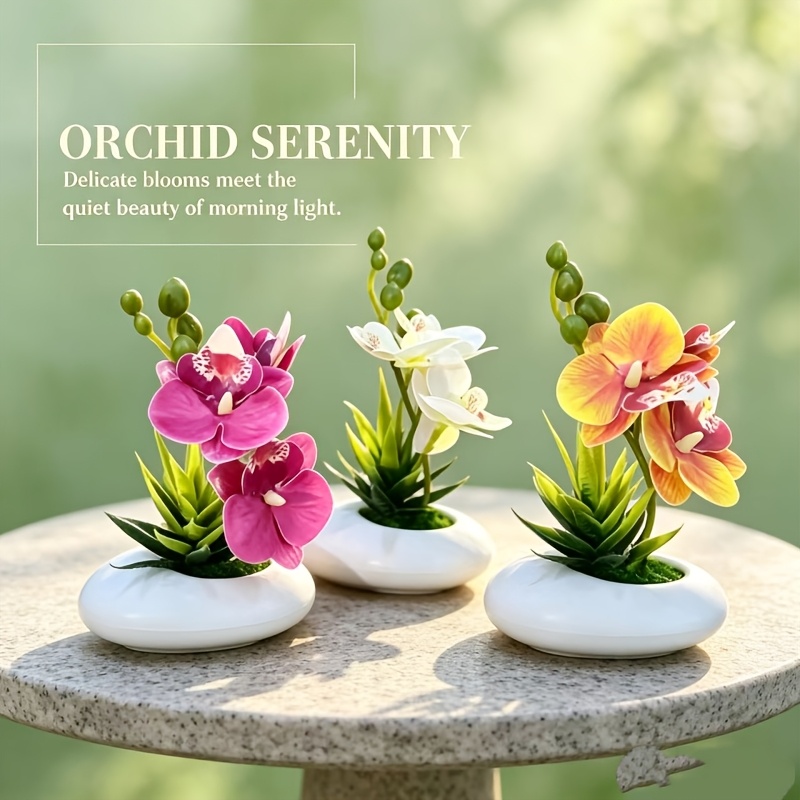 TEMU 3 piezas de decoración para el hogar con flores de simulación y macetas, orquídeas Phalaenopsis y suculentas, macetas blancas gruesas con