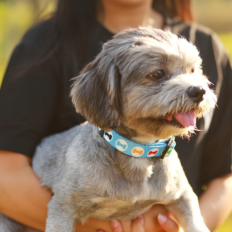 Collar and Leash Set for Small Dogs, Printed Design