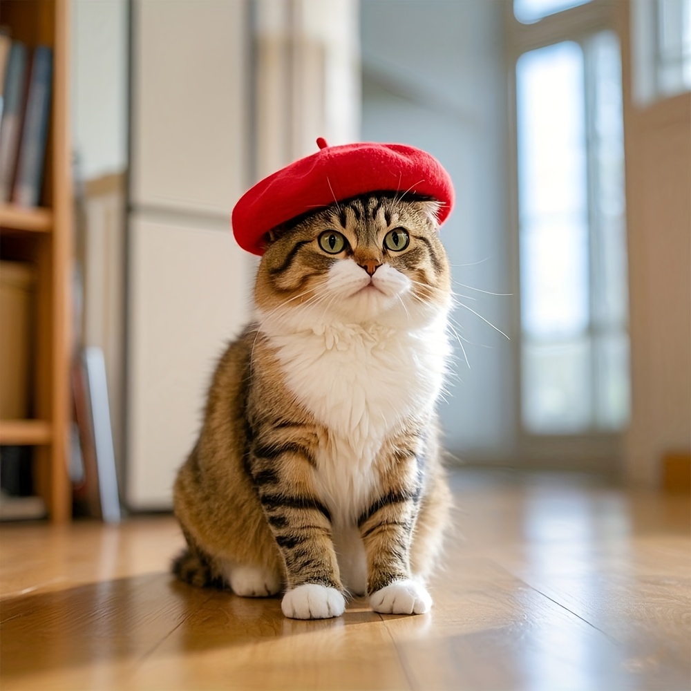 Dog Hat, Mini Solid Beret, Casual Outing Cross-border
