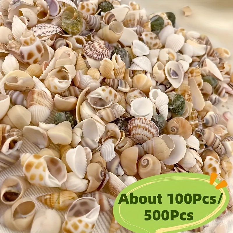 100/500pcs Conchas Miniatura Surtidas - Empaquetado Multicolor, Ideal para Manualidades, Pinturas Decorativas, Adornos de Jarrones y Proyectos DIY | Aspecto Natural | Variedad de Conchas, Decoración con Mariscos