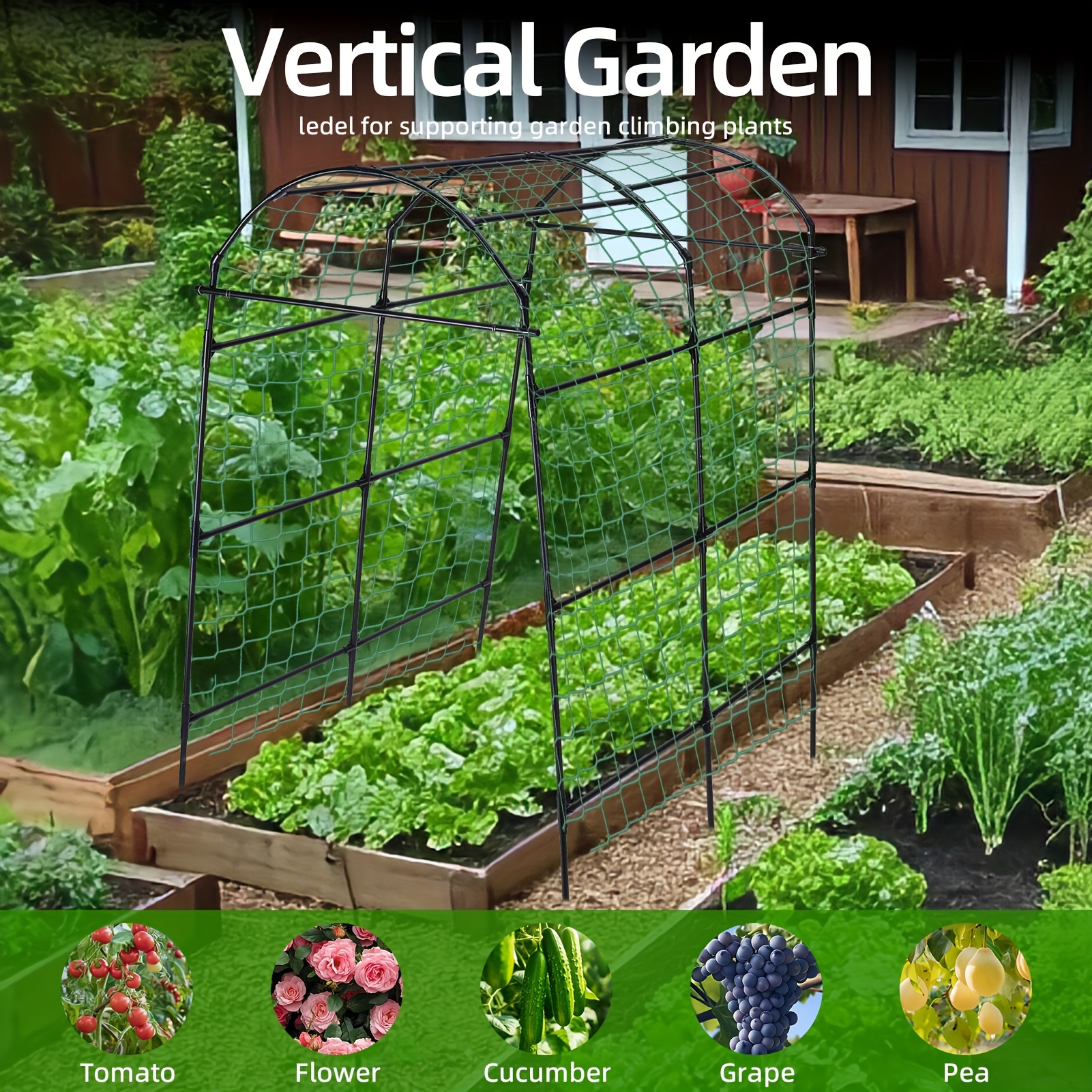 Stainless Steel Climbing Vine Trellis Image 3