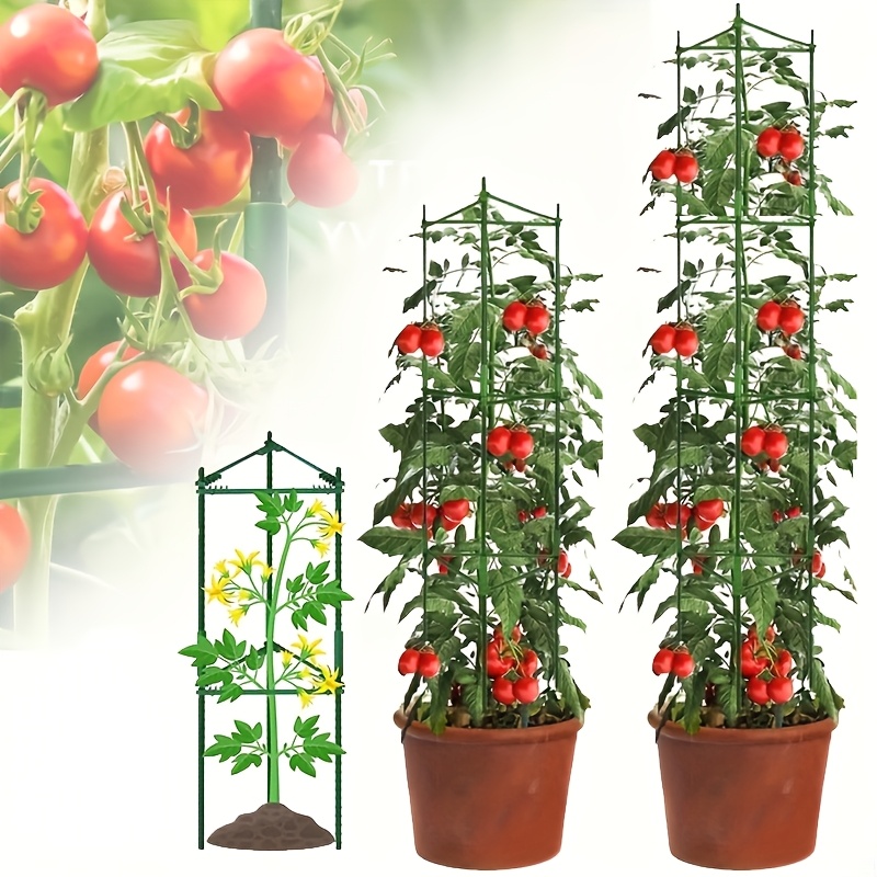 Tomatenkfig Pflanzensttze 45cm - Rankhilfe Fr Kletterpflanzen 2er Set  Grn