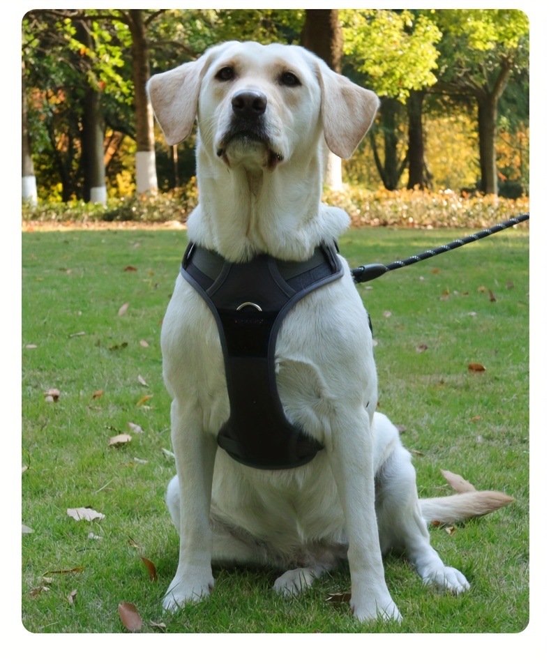 pet chest strap with massage point dog chest back soft breathable mesh cloth design comfortable not stuffy can also be outdoor traction suitable for medium and large dogs reflective strip design can also travel safely at night details 6