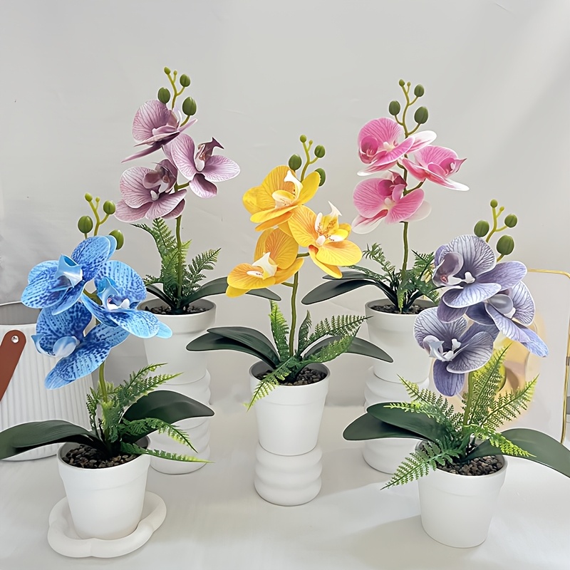 blumenkasten mit rankgitter günstig Unopiu I Solaire 2 Anbaublumenkästen mit Rankgitter & Verbindungsstang –  Garten‑Stuhl main image 1