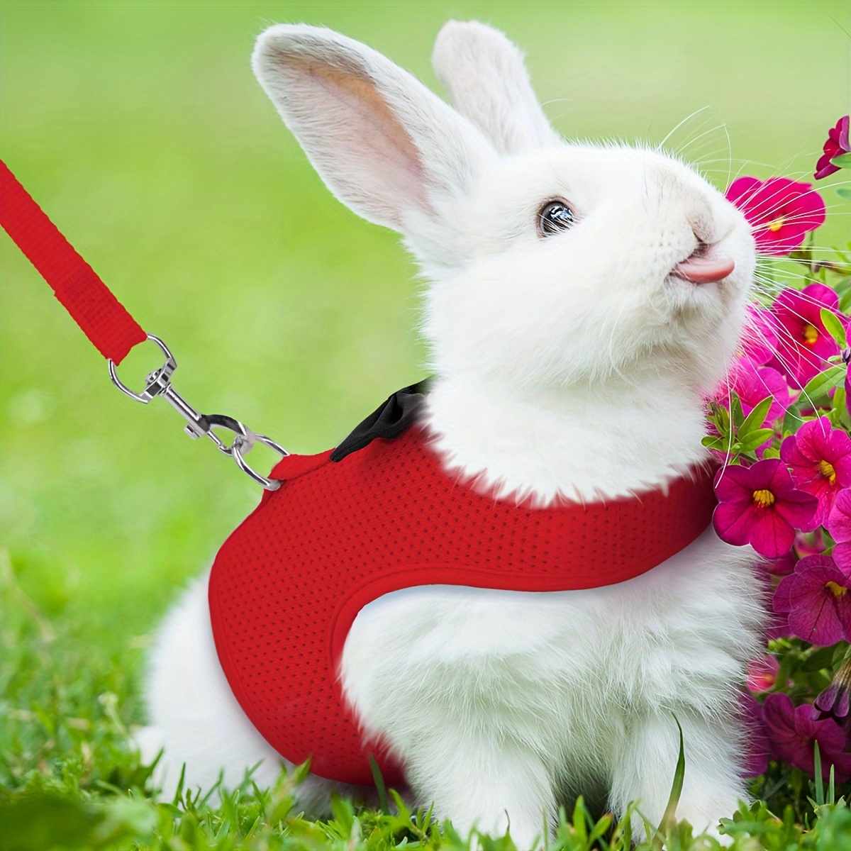 Een set bestaande uit een effen, modieus konijnentuigje voor uitstapjes