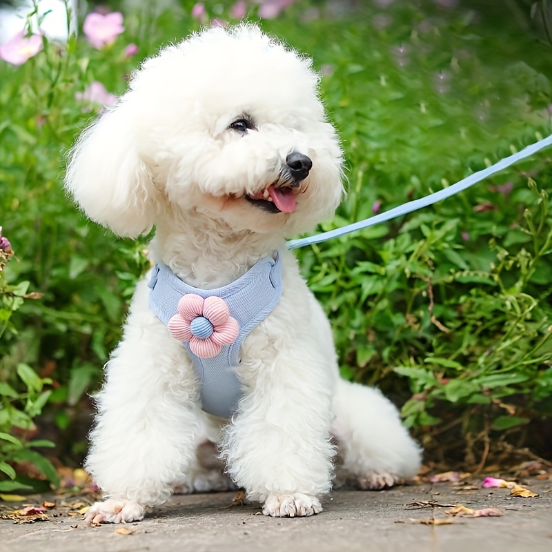 dog harness vest with leash reflective cat harness and leash set for small and medium dog adjustable pet vest escape proof breathable puppy harness details 7
