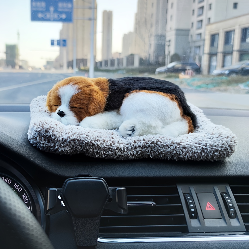 Car Dashboard Sleeping Puppy