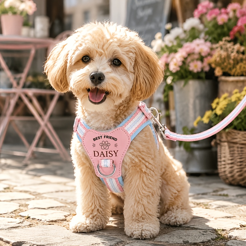TEMU 1pc Laser-customized Pet Harness & Leash System Suitable For Small Dogs And Cats, Adjustable Anti-escape Vest Harness With Breathable Mesh,