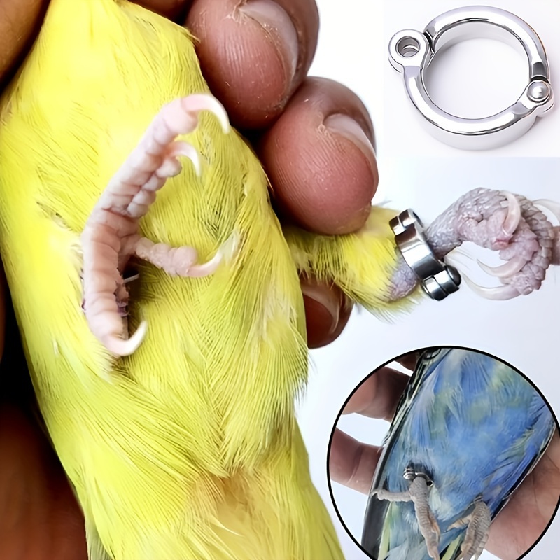 

2pcs/set Parrot Foot Rings Movable Opening Bird Foot Rings Made Of Alloy Pet Bird And Identification Rings